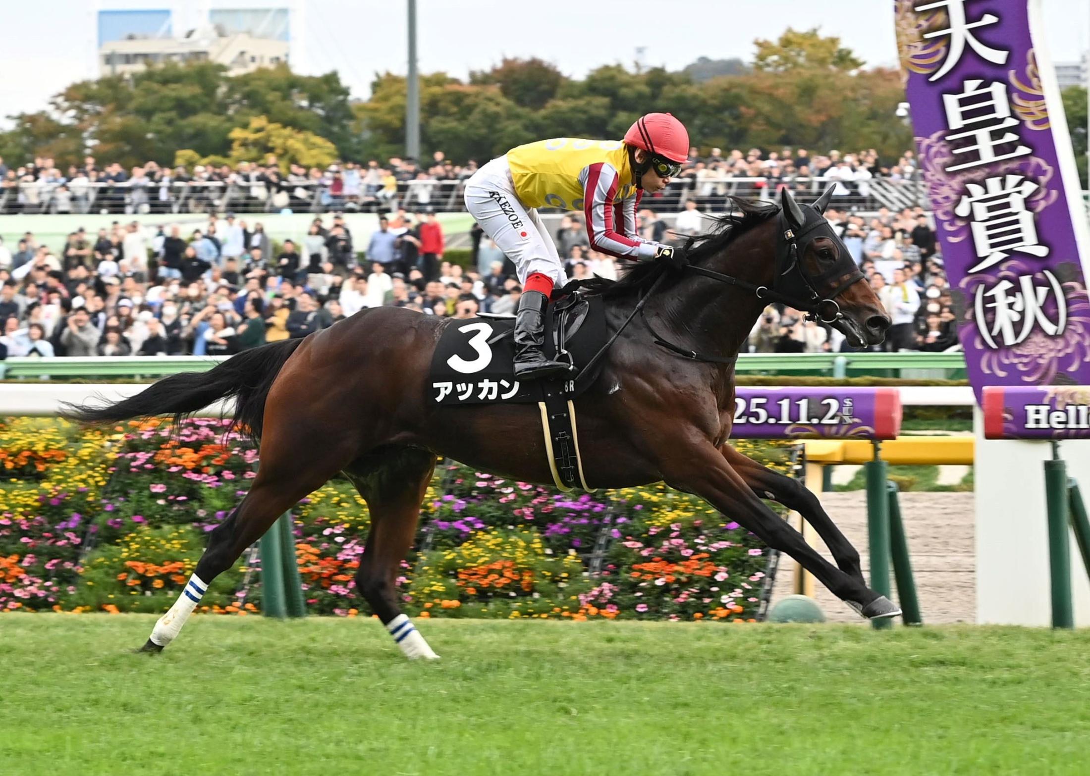 ɴ̡ۥå̯ȴФϢź֥ץ̤˾줿