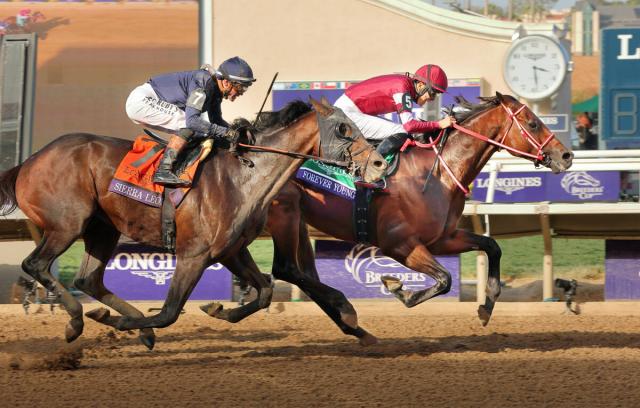 BC饷åۥեС󥰤ĴϤȤƽơ֥ѡĴդⶽʳ֥åɽWդͥ褦ʴ