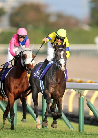 ŷľޡ֥ۡΥåƱե󥰡ץ᡼3Ϣ³G1Ƥǥޥ졼ɥܡƳ