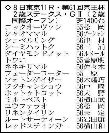 ڵ2SŸ˾ۥɥΥåȤϹ2ƱΥåɥƥ󥬡Ʊ³