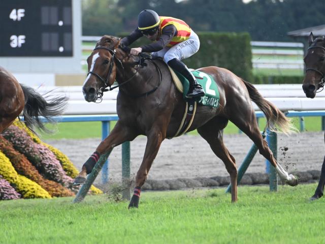 【ファンタジーS】売上は36億5880万5000円で昨年より約8.4億円増加