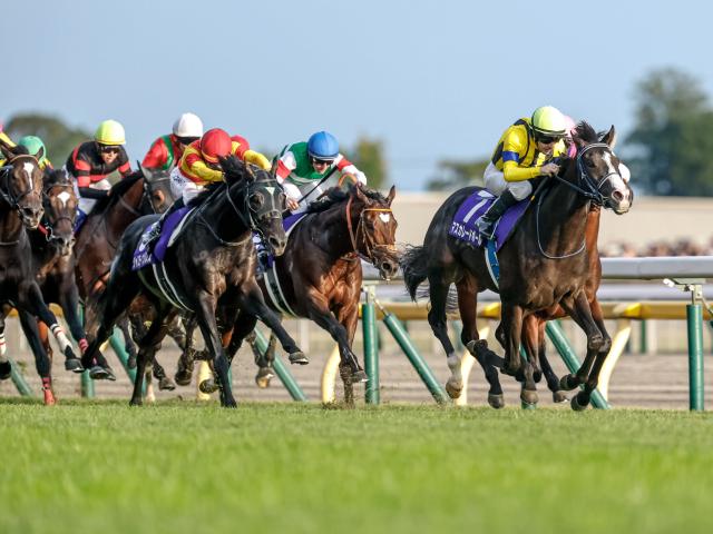 【天皇賞(秋)】売上は237億4494万7200円で昨年より約3.8億円増加