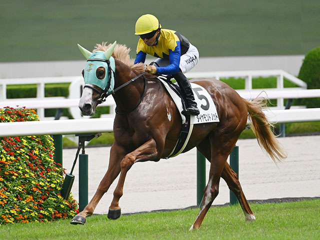 【京王杯2歳S想定騎手】ダイヤモンドノットはC.ルメール騎手、シャオママルはA.プーシャン騎手