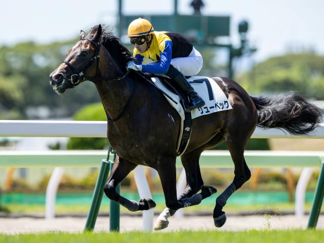 【先週のJRA抹消馬】22年ニュージーランドTで3着のリューベック、芝中距離で4勝のキミノナハマリアなど