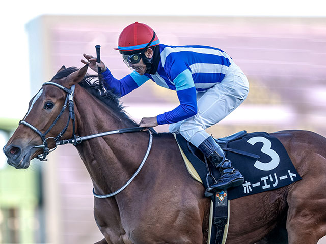 【AR共和国杯想定騎手】ホーエリートは戸崎圭太騎手、スティンガーグラスはC.ルメール騎手