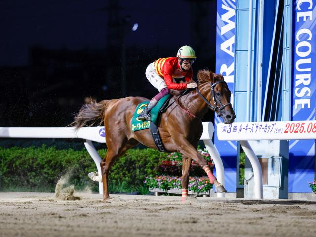 【船橋・平和賞枠順】前々走でルーキーズサマーCを制したロードレイジングは7枠7番