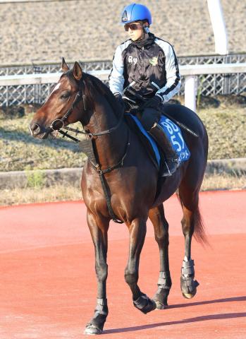 【みやこS・戸田の特注馬】逃げ、先行馬が多数　ラムジェットの末脚がさく裂　復活劇に期待