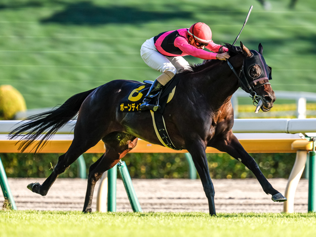 【AI予想・AR共和国杯】人工知能は波乱の決着を示唆!? 配当妙味十分な本命候補3頭