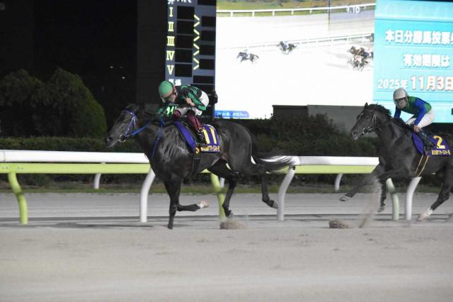 【船橋競馬　JBCスプリント】大井ファーンヒル　好発から押し切ってJpn1初V　地方所属馬5勝目