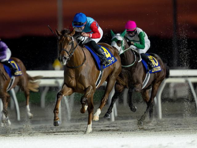 【門別・JBC2歳優駿結果】タマモフリージアが無傷2連勝でDG初制覇