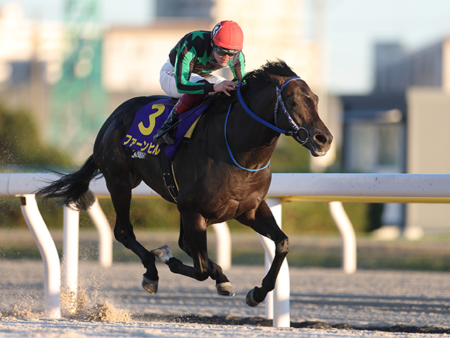 【JBCスプリントレース後コメント】ファーンヒル笹川翼騎手ら