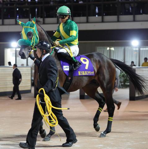 【JBCクラシック】昨年の覇者ウイルソンテソーロは5着　川田将雅騎手は4度目Vならず　高木調教師「疲れが…」