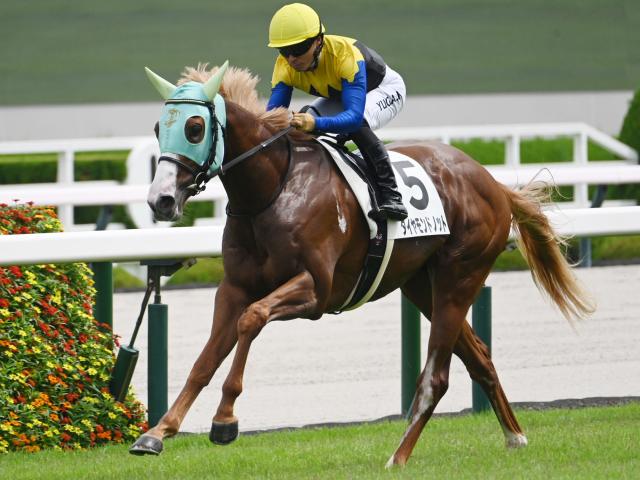 【京王杯2歳S展望】栗東馬優勢のデータ、前走1人気ダイヤモンドノットが中心