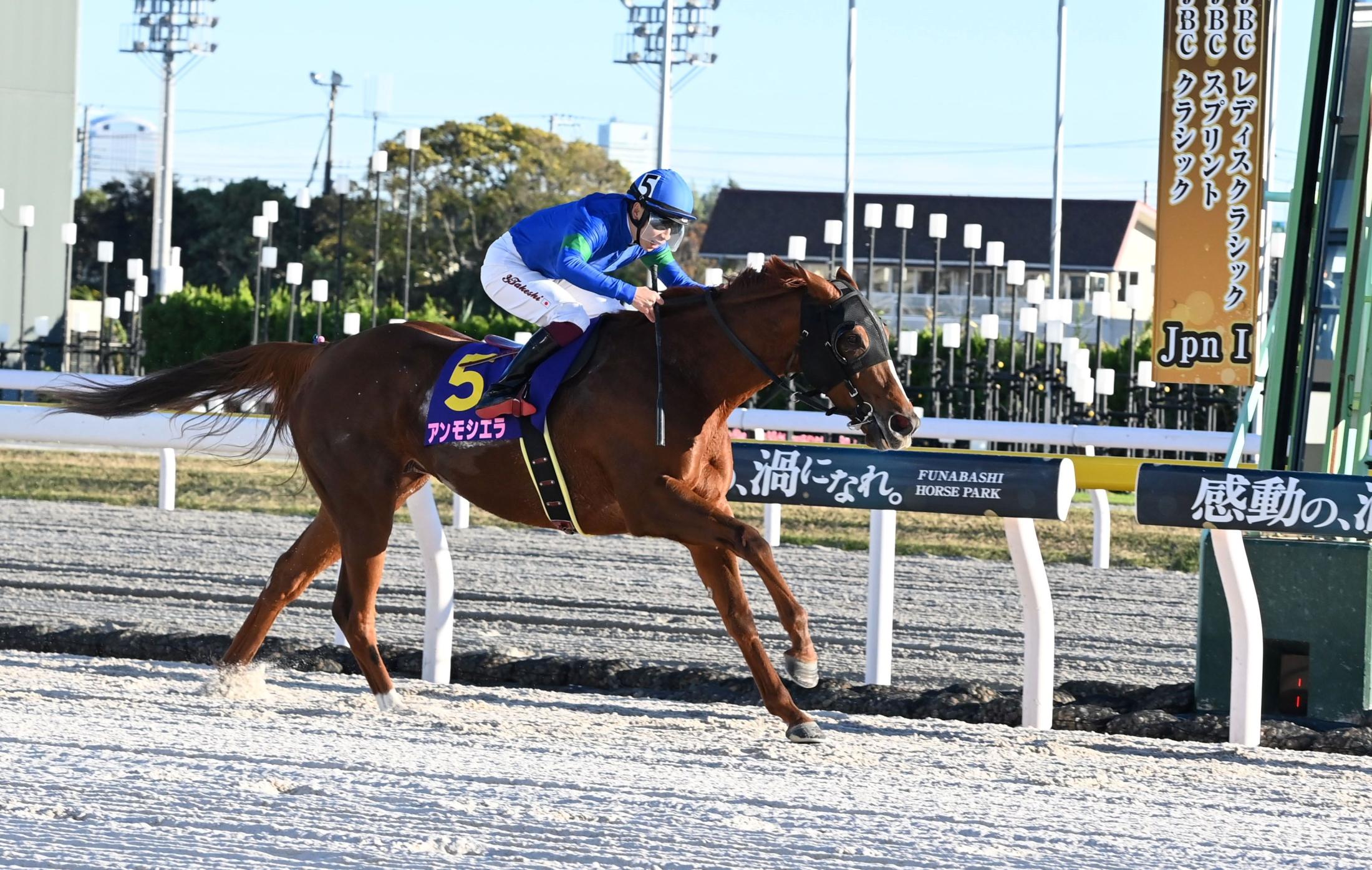 【地方競馬】ＪＢＣレディスクラシック　アンモシエラがブリンカー効果で連覇！横山武「何が何でも逃げるつもりでした」