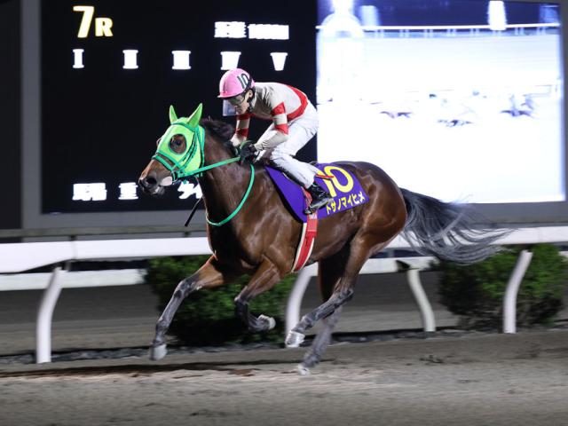 ڹΡں޷̡ۥȥΥޥҥ᤬ƨڤž3