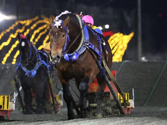 ӹФ󤨤Ʋ־޷̡ۥݥԡ˥礤ž޽