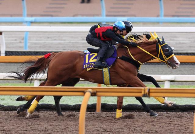 【アルゼンチン共和国杯】ボルドグフーシュ　筋肉量増え順調　陣営「東京の長い直線がいい方に出そう」