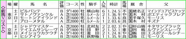 【新馬戦総括】モートンアイランド切れ味発揮　アローメタルは伸びしろ十分