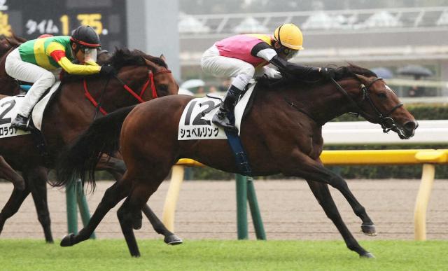 【京王杯2歳S】シュペルリング　距離短縮歓迎　嘉藤師「血の後押しがある　心強い」