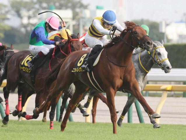 【アルゼンチン共和国杯】ニシノレヴナント 重賞初V期待　上原博師「前走の脚が使えれば楽しみ」