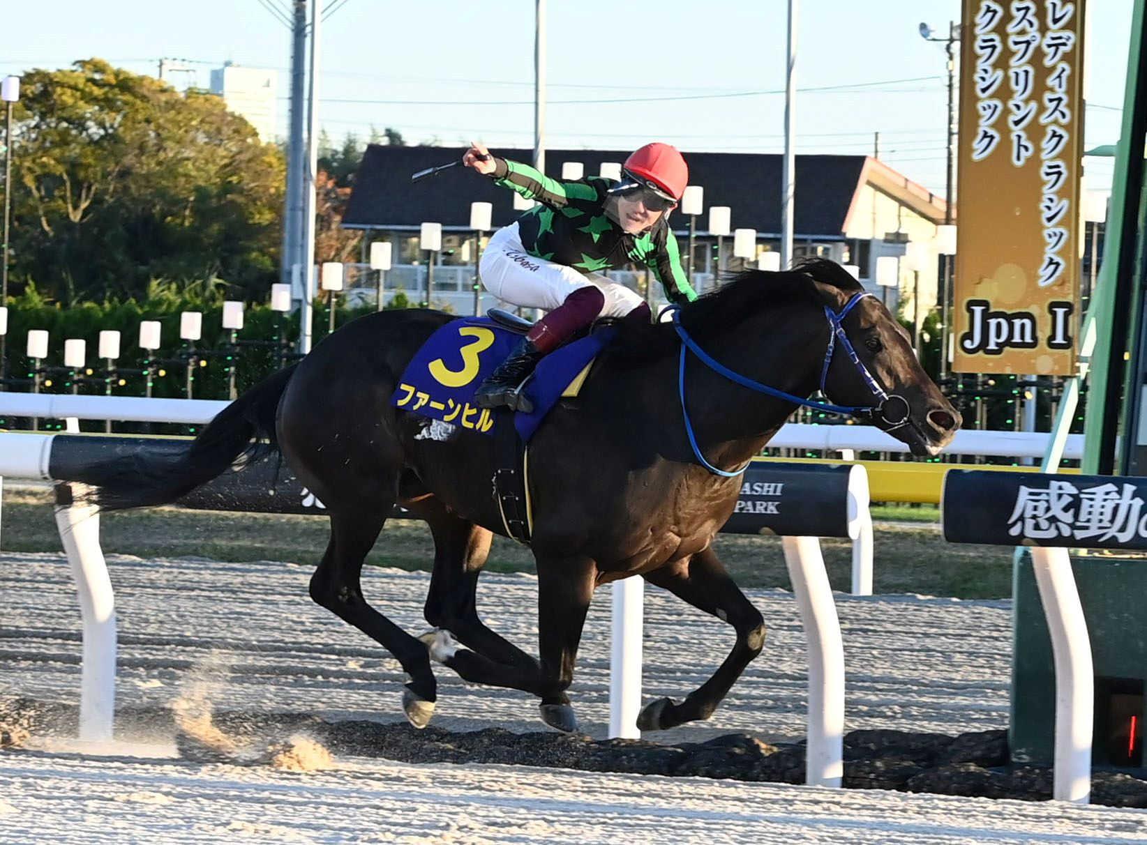 【地方競馬】ＪＢＣスプリント　ファーンヒルが３連勝で頂点　ママコチャに１馬身差　笹川翼「僕の馬が一番速かった」