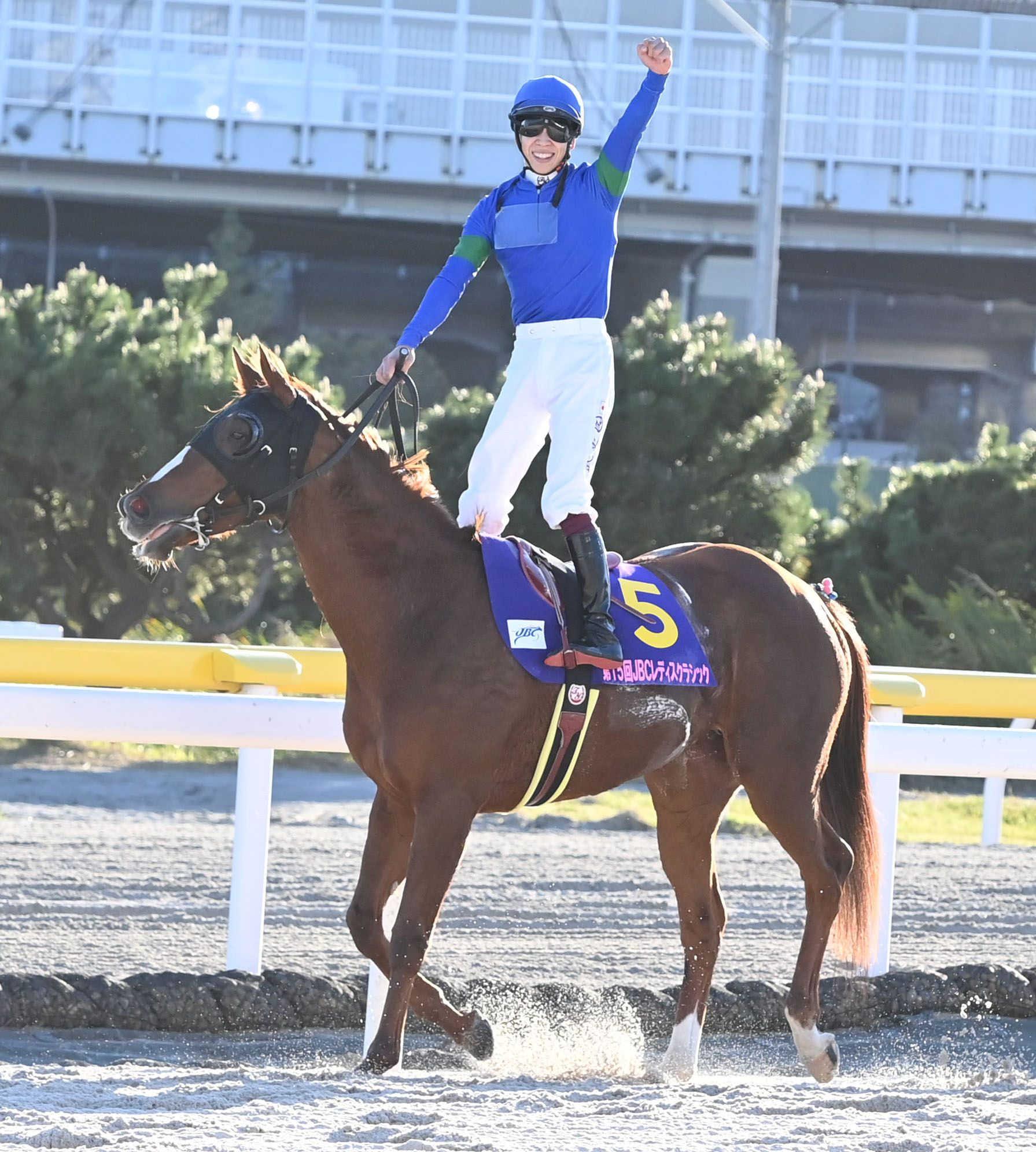 【地方競馬】ＪＢＣレディスクラシック　アンモシエラが連覇達成　イチかバチかのブリンカー効果に「本当によく応えてくれた」