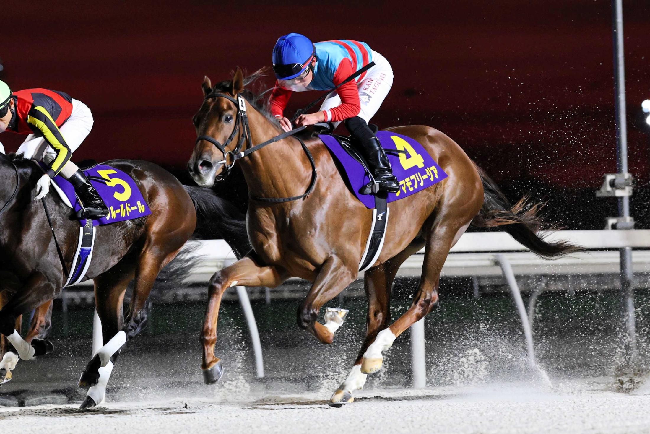 【地方競馬】ＪＢＣ２歳優駿　タマモフリージアが差し切る　田口「最後は馬を信じて追いました」