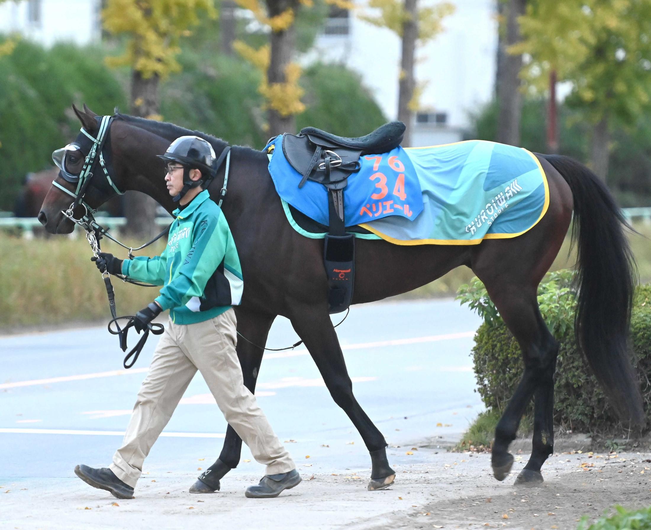 【みやこＳ】ペリエール　重賞連勝だ！体質強化で復調　黒岩師「一戦ごとのダメージが少なくなっている」