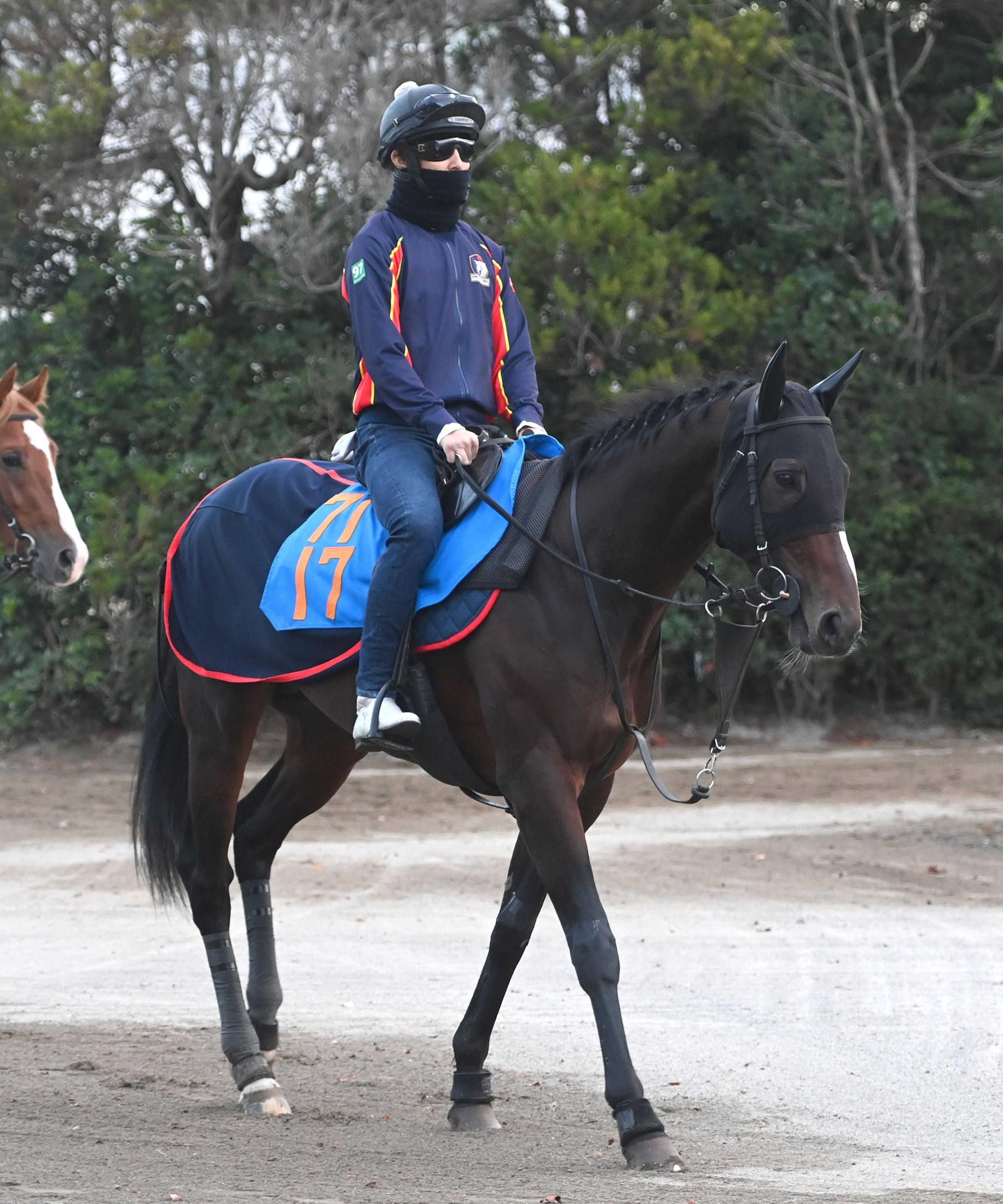 【アルゼンチン共和国杯】スティンガーグラス　初のＧ奪取だ　唯一の減点１　着実に力を付け前走ではＯＰ初勝利