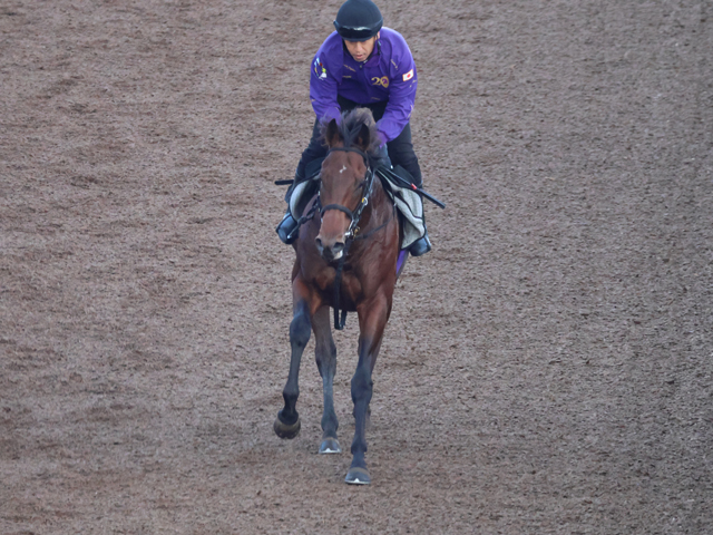 ȾϽž2Υ٥ 1.7ϤΥ˥塼/ϥᥤǥӥ塼