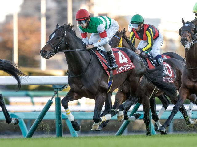 【豪・メルボルンC結果】ハーフユアーズが優勝 日本のシュヴァリエローズは23着