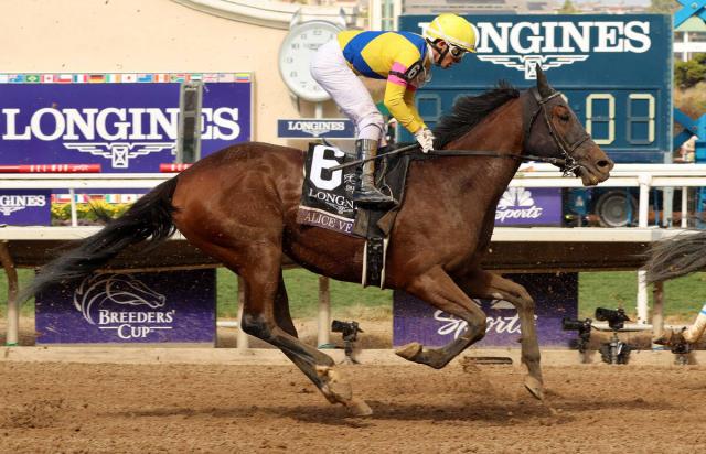 24年のマーメイドS覇者アリスヴェリテがノースヒルズで繁殖入り　米G1・BCディスタフ10着がラストラン