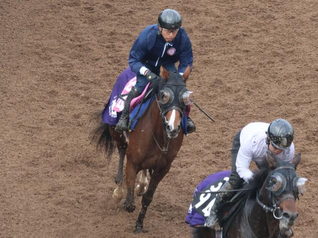 グラスベルグなど、先週の入厩情報/栗東トレセンニュース