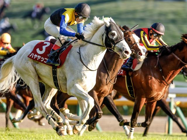 1位は白毛の古豪が魅せた大外一気 アルゼンチン共和国杯の勝ち時計ランキング