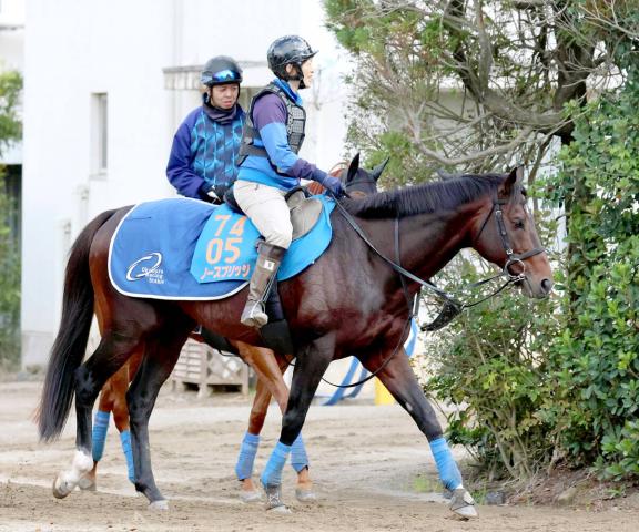 【みやこS】重賞3勝馬ノースブリッジが砂で復活へ　1年ぶり実戦に奥村武調教師「気持ちがひとつも折れていない」