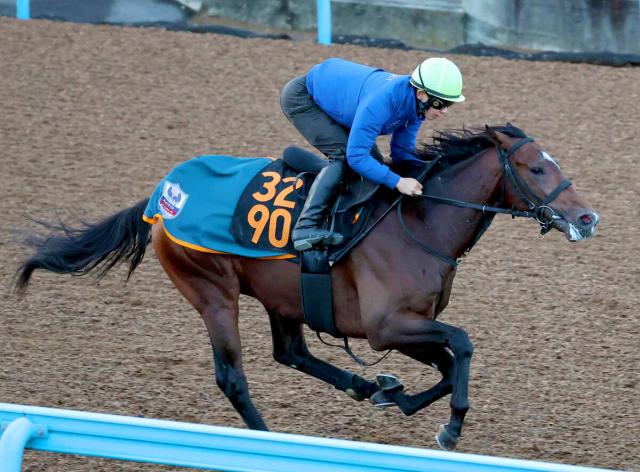 【京王杯2歳S】一族に重賞馬、G1馬ズラリ　血統馬のシュペルリングが連勝へ　嘉藤調教師「血の後押しもある」