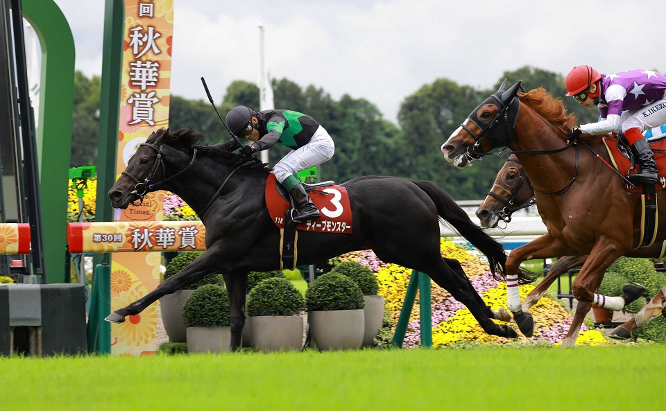 京都大賞典Ｖのディープモンスターは松山でジャパンＣへ　目黒記念４着時以来４戦ぶりのコンビ