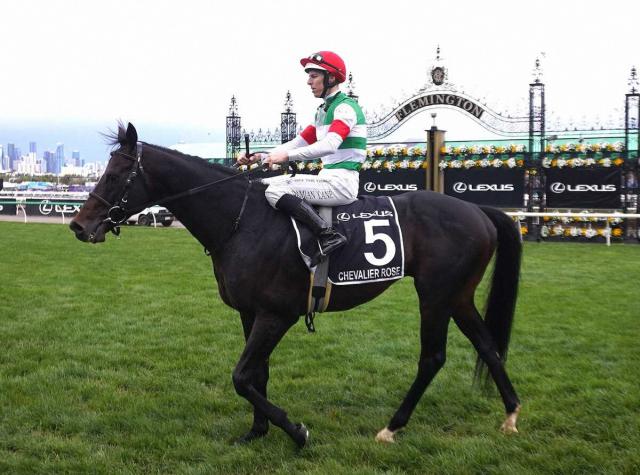 【豪G1メルボルンC】日本馬シュヴァリエローズは23着　地元のハーフユアーズがG1連勝