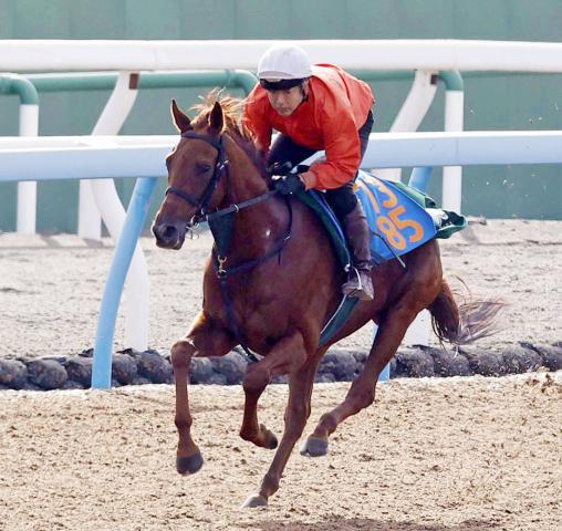 【アルゼンチン共和国杯】一変ニシノレヴナント　上原博調教師「ジョッキーもびっくりする脚」ネロ産駒重賞初Vへ