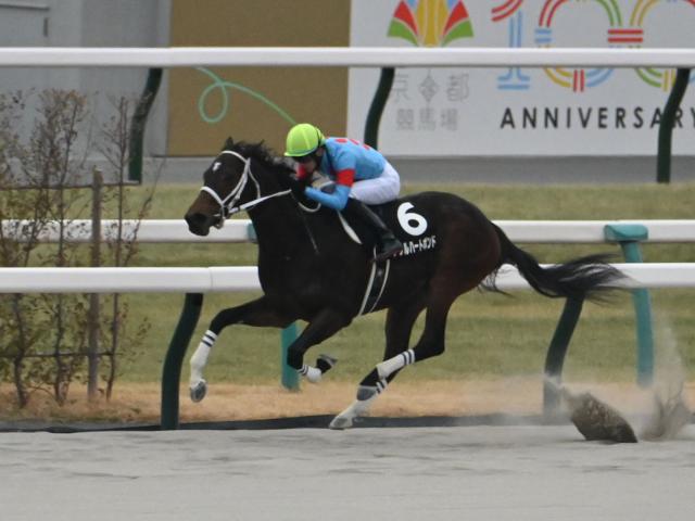 ڤߤ䤳Sͽۥåۥ֥ϡȥܥɤͽ1ֿ͵