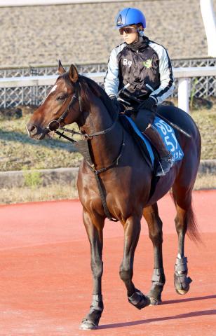 ڤߤ䤳SۥॸåȤեСӡϡǯκĴդ̴