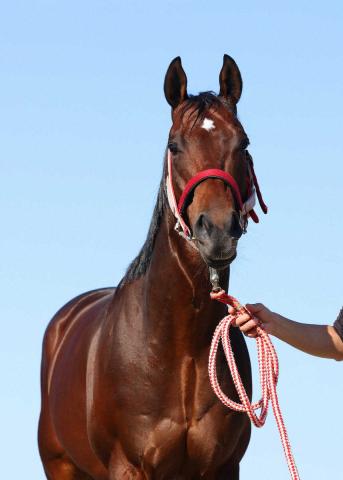 ڤߤ䤳Sۥȥåȡϥ֡եС󥰤³ˡȤ⤦