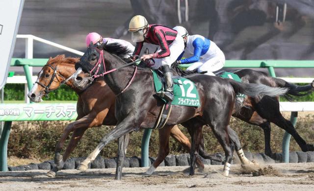 ڤߤ䤳Sۥ֥饤󥻥󥹡ž2ܻ볦رġưϰʾ夬äƤ