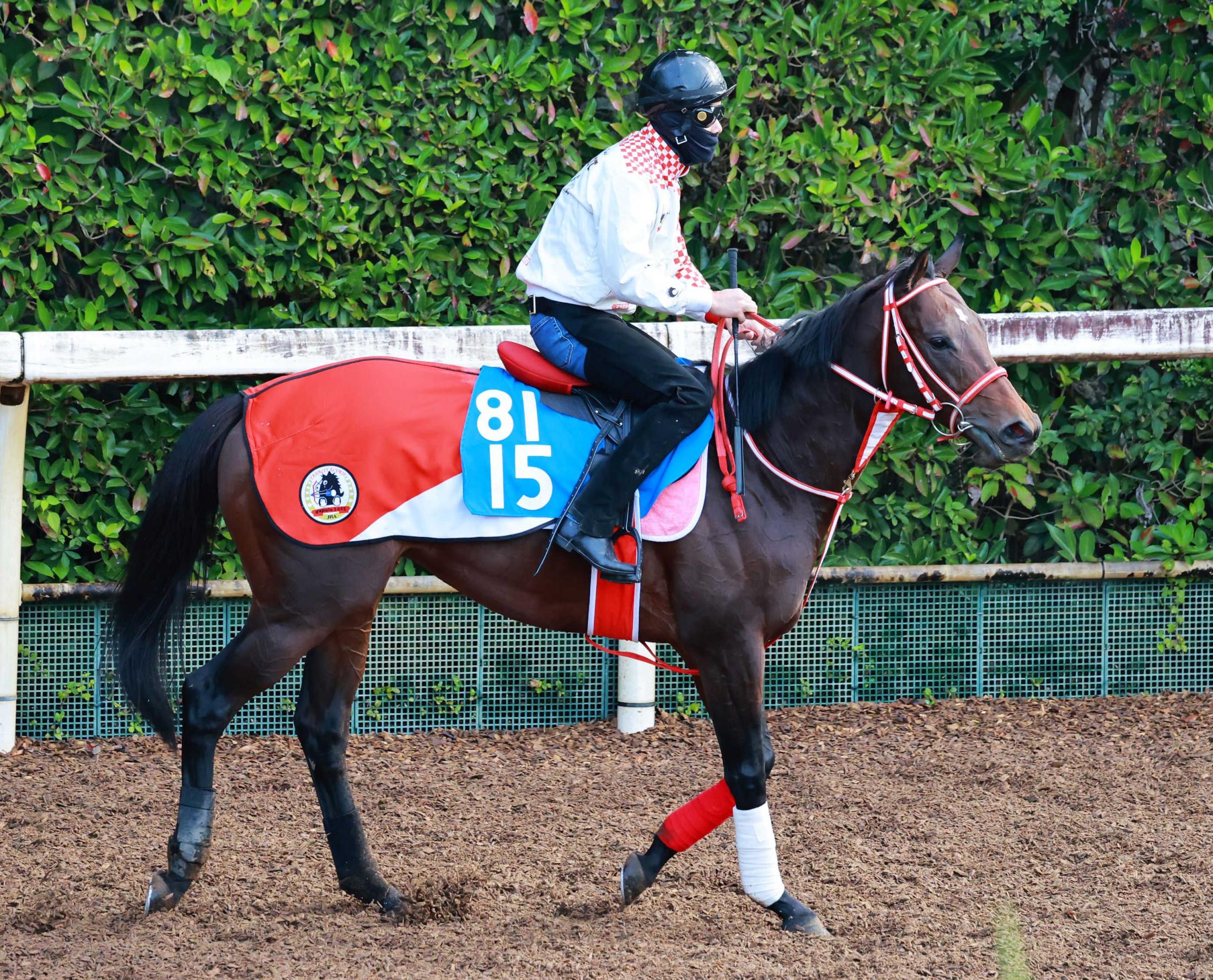 ڤߤ䤳ӡۥȥåȡ塹Ĺرĥ˥ʥСϤǤסƱɤå