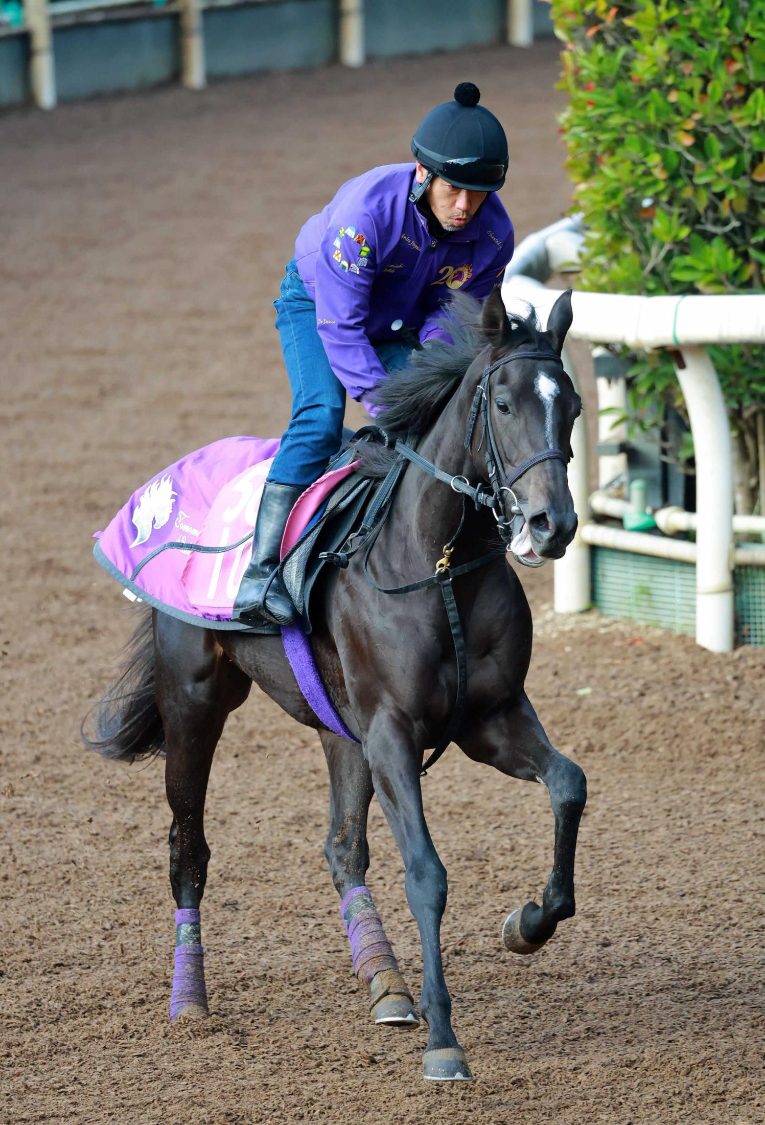 ڿۥɥޥ䥷顡ͧƻˤ椫ɷ졡ԥեͥΡȲɤ˿رĴԡ֤˵ζФƤ