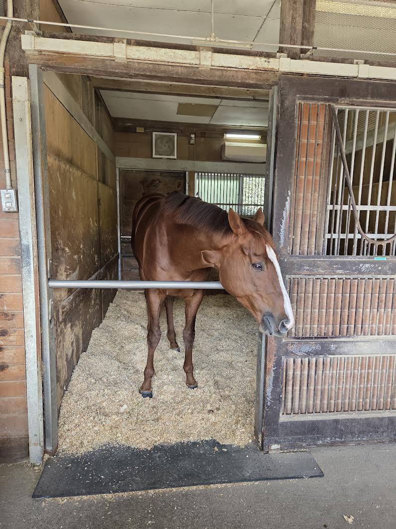 ߥåեȡʤǯ֤ɸˡդĩ︫롡ʣ£å饷å