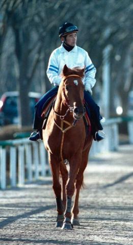 ɲε2S97ǯ饹ͻ衢Υ³Ƥⵤ6ϿȺ