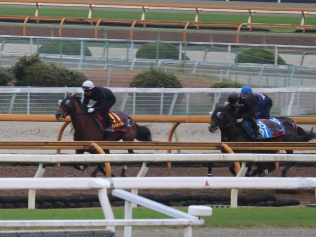 ȥХȡꥶ٥1ɤڤ®/ȥ쥻˥塼