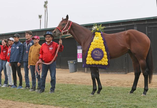 BC饷åƤΥեС󥰤ʤƹ7Ƭ