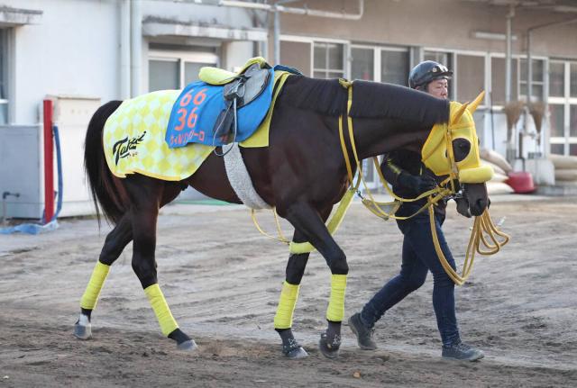 ưJBC饷å5Υ륽ƥϥԥC